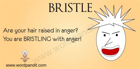 Meaning Of Bristle