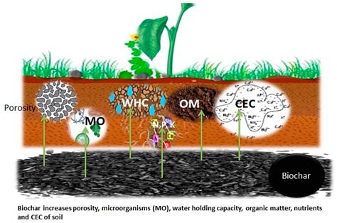 Agronomy Free Full Text Biochar And Its Broad Impacts In Soil