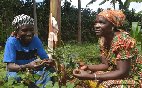 Empowering Smallholder Farmers To Improve Their Incomes Sustainable