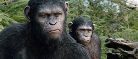 Dawn of the Planet of the Apes - Review - Double Toasted