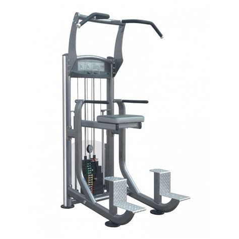 Impulse Fitness Weight Assisted Chin Dip Combo It9020 It9320 Price In