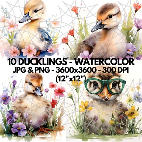 Duckling Clipart Set 10 PNG Wildflower Ducklings For Commercial Use