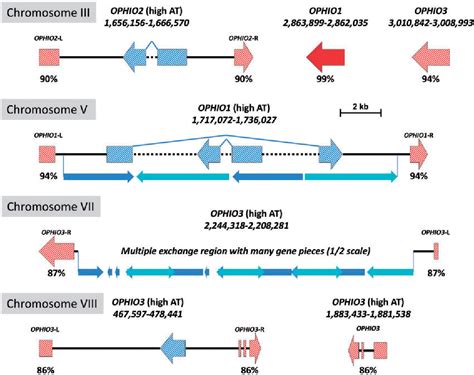 Figure 1 From Functional Annotation Of The Ophiostoma Novo Ulmi Genome