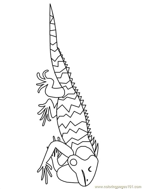 Iguana: Coloring Pages & Books - 100% FREE and printable!