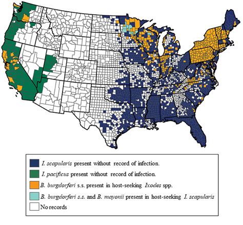 Mapping Lyme Cdc Reveals Distribution Of Lyme Disease Causing Bacteria By County