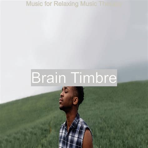 Music For Relaxing Music Therapy Album By Brain Timbre Spotify