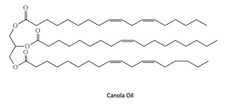 Olive Oil Structure