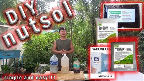 HOW TO MAKE DIY NUTRIENT SOLUTION FOR HYDROPONIC LETTUCE PAANO GUMAWA