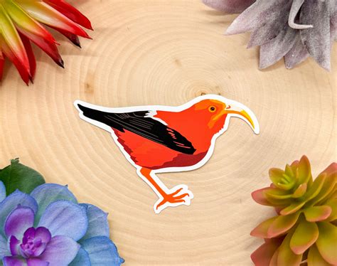 Hawaiian Honeycreeper Sticker Kali Bear Co