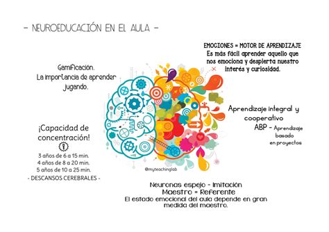 NEUROEDUCACIÓN EN EL AULA pdf Google Drive Neurociencia y educacion