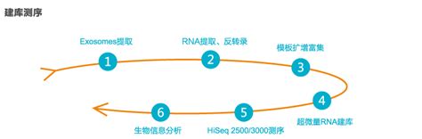 解决抽提难题外泌体测序触手可及