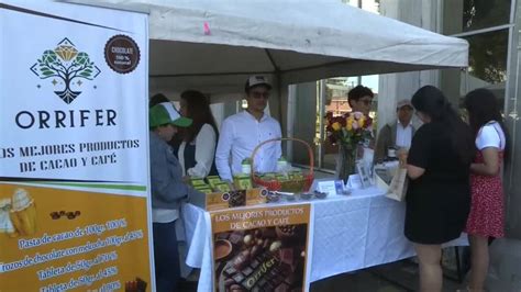 Pagos Justos Piden Productores De Cacao De Ecuador Frente Al Precio Máximo Internacional