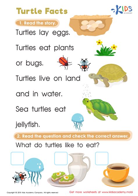 Turtle Facts Worksheet for kids