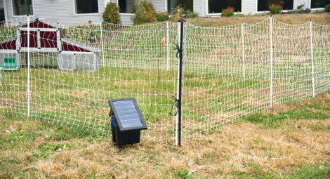 Premier Supplies Electric Poultry Net Review Mother Earth News