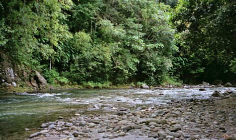 Dominica, the Nature Island - Travel Photos by Galen R Frysinger ...