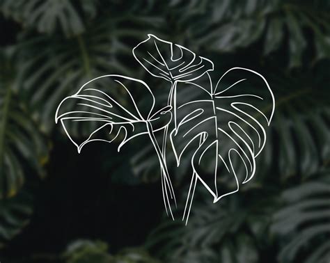 Line Art Monstera Pflanze SVG Blätter Abstraktion Blätter Etsy