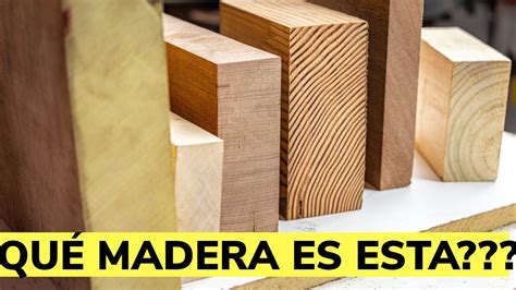 Cómo Identificar Los Tipos De Madera YouTube