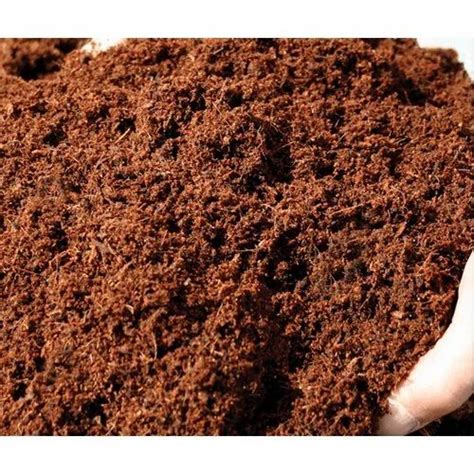 Powder Cocopeat Packaging Type Pp Bags Packaging Size Kg At Rs