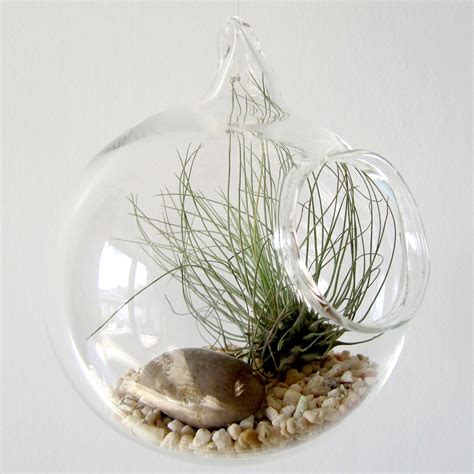 Hanging And Desktop Mini Air Plant Glass Globe Garden