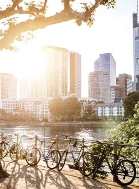 Cannabis Arzt Frankfurt Jetzt Beratungstermin Vereinbaren