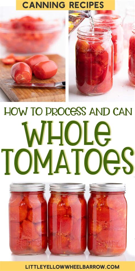 Canning Tomatoes Whole The Quick And Easy Cold Pack Method Recipe Canning Whole Tomatoes