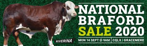 Riverina National Braford Sale 2020 Australian Braford Society