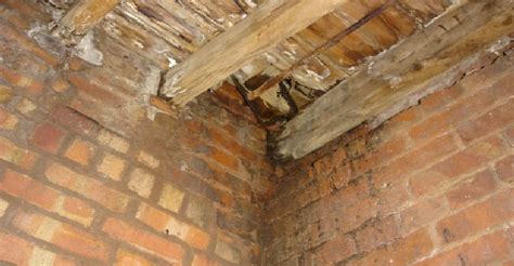 How To Identify Dry Rot What Are The Signs Of Dry Rot Timberwise