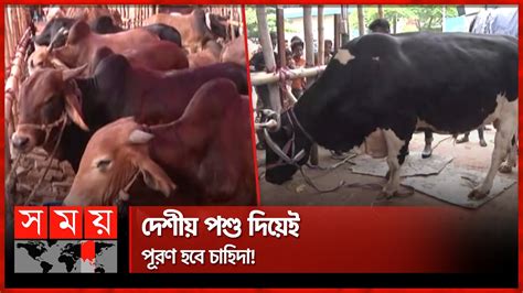 চট্টগ্রামে জমে উঠছে কোরবানির পশুর হাট Cow Haat Qurbani Eid Somoy