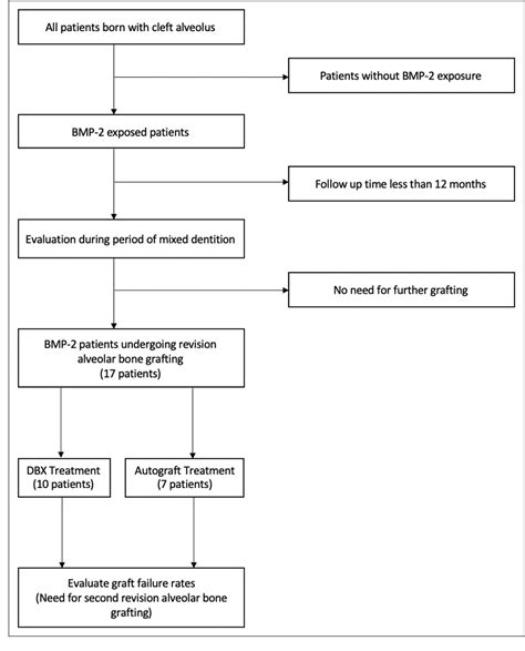 Figure 1 from Efficacy of Demineralized Bone Matrix for Revision