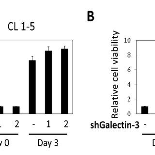 Figure S5 Galectin 3 Knockdown Did Not Decrease The Proliferation Rate