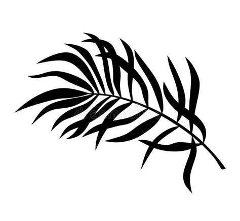 Dibujo Vectorial De La Silueta Negra De La Hoja De Palmera Tropical