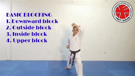 Karatedo Basic Blocking And Punching Youtube