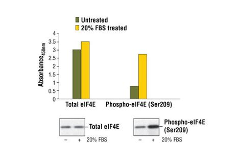 Pathscan® Phospho Eif4e Ser209 Sandwich Elisa Kit Cell Signaling