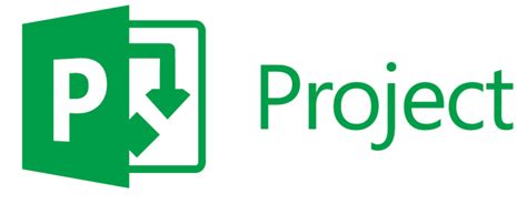 Microsoft Project Professional 2021 Key 100 Working And Free Download