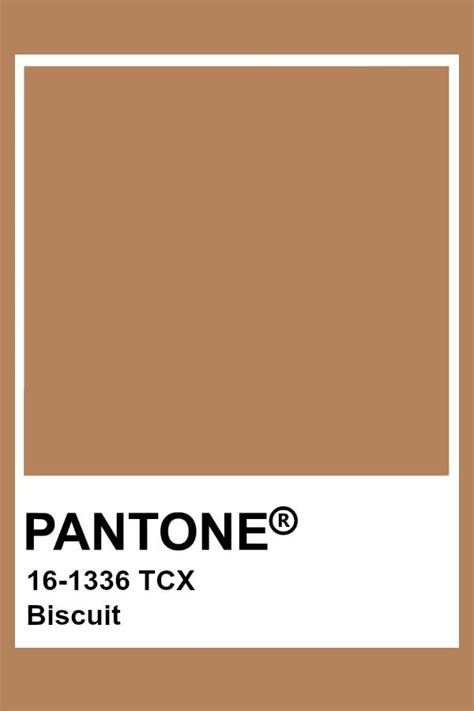 Pantone Biscuit Muurkleuren Kleurinspiratie Muur Kleuren