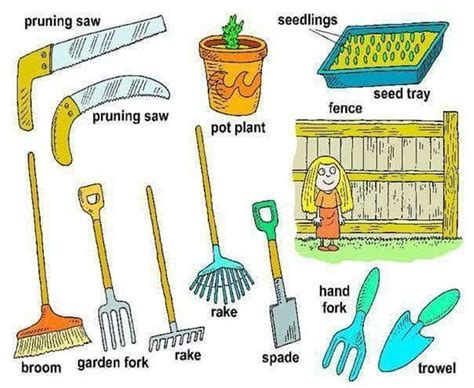 In The Garden Gardening Tools Vocabulary Vocabulary English Vocabulary Learn English Vocabulary