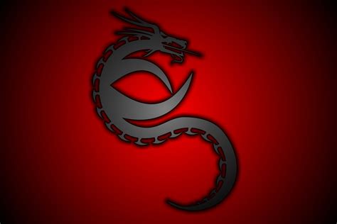 dragon | Dragon, Wallpaper pc, Symbols