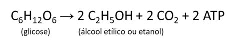 A Reação Representada Pela Equação C6h12o6 2 C2h5oh Explicaê