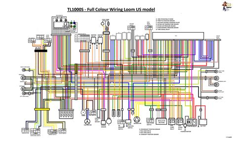 Schema Electrique Suzuki Sv 650 1999