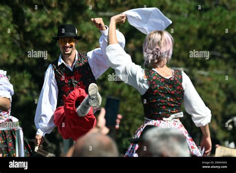 Badacsony Lake Balaton Hungary September Wine Harvest