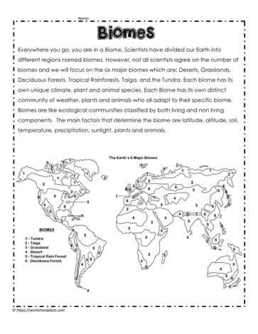 Biome Facts and Map of Biomes Worksheets