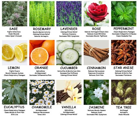 Aromatherapy Essential Oils Chart