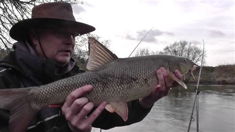 River Severn Barbel Fishing Youtube