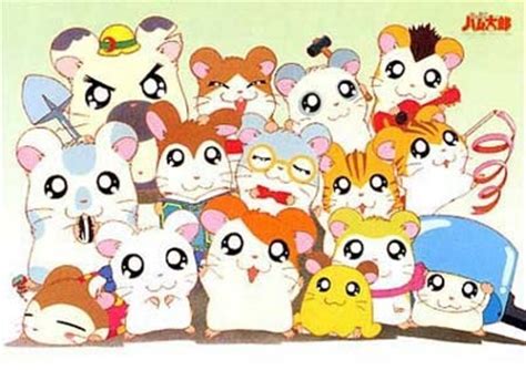 hamster family - Hamtaro The hamster Photo (28041153) - Fanpop