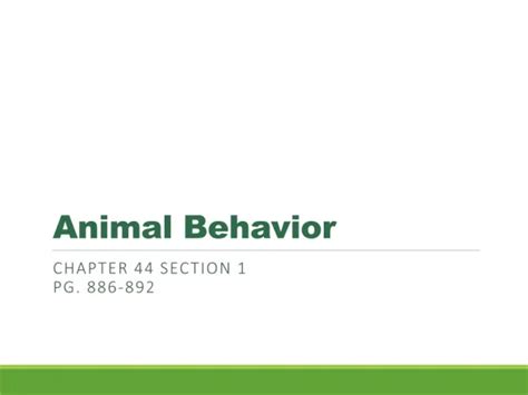 Ppt Animal Behavior Powerpoint Presentation Free Download Id3641425