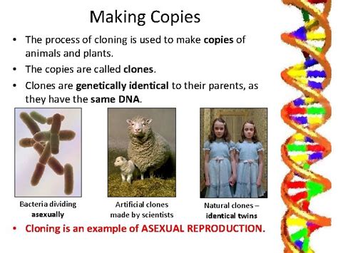 Cloning Part 1 Learning Objectives To Learn About