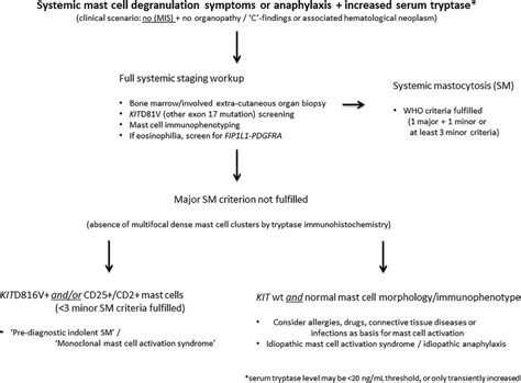 Systemic mastocytosis causes, symptoms, diagnosis, treatment & prognosis