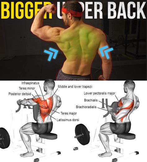 Hot 4 Wide Back Exercises Guide