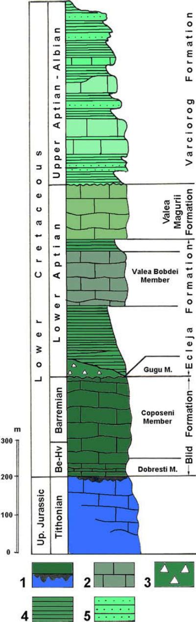 Succession Of The Lower Cretaceous Deposits From P Durea Craiului