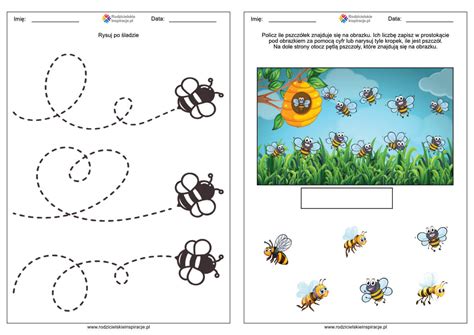Dzie Pszczo Y Przedszkole Karty Pracy Do Druku Za Darmo Pdf